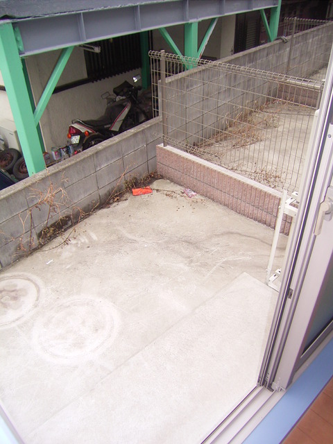 庭