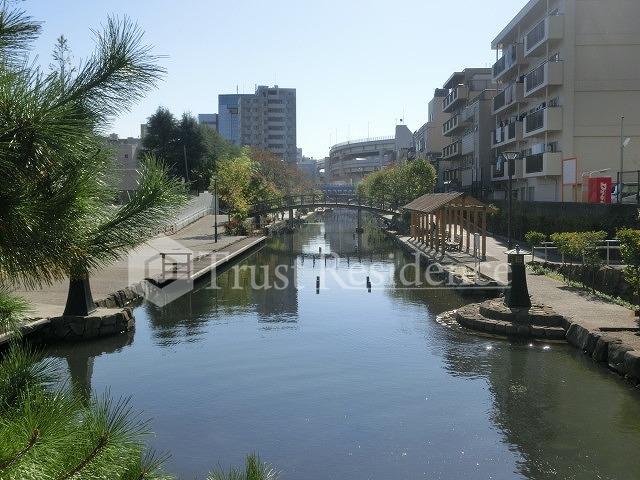 【江東区冬木のマンションの公園】