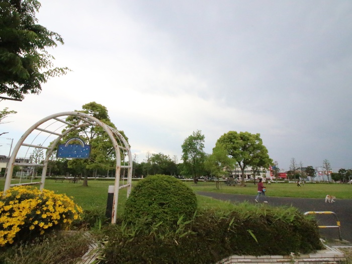 公園　篠崎公園（公園）まで480m