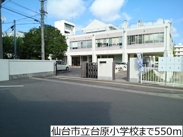 小学校　仙台市立台原小学校（小学校）まで550m
