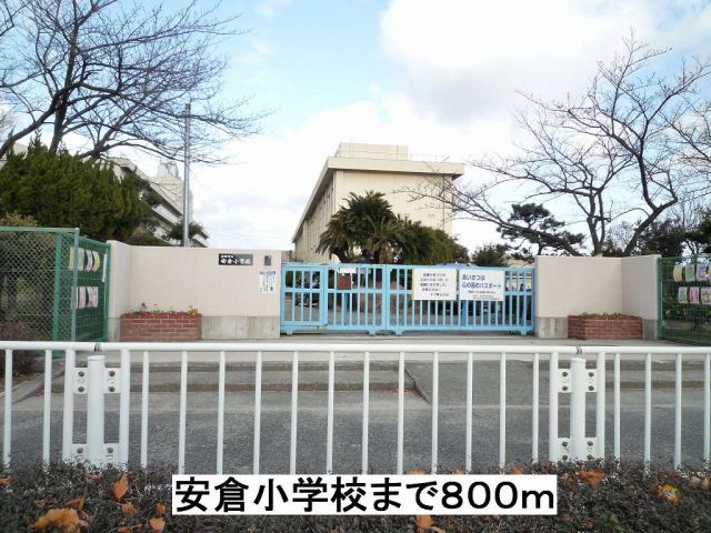 小学校　安倉小学校（小学校）まで800m