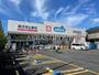 ドラックストア　ウエルシア川口芝樋ノ爪店（ドラッグストア）まで505m