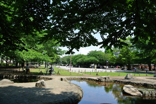 公園　板橋区平和公園（公園）まで443m
