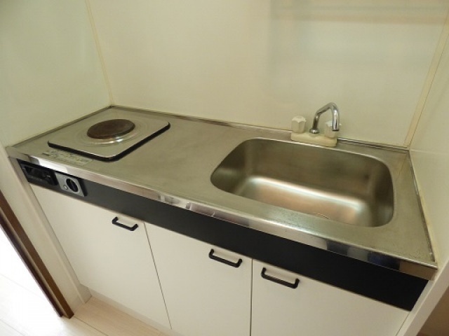 キッチン　写真は別号室です。