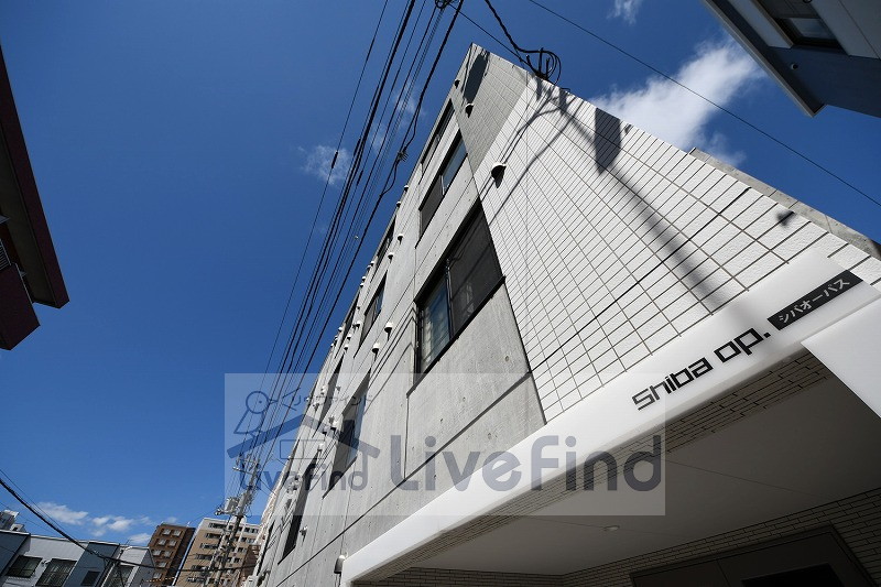 札幌市白石区菊水三条のマンションの建物外観