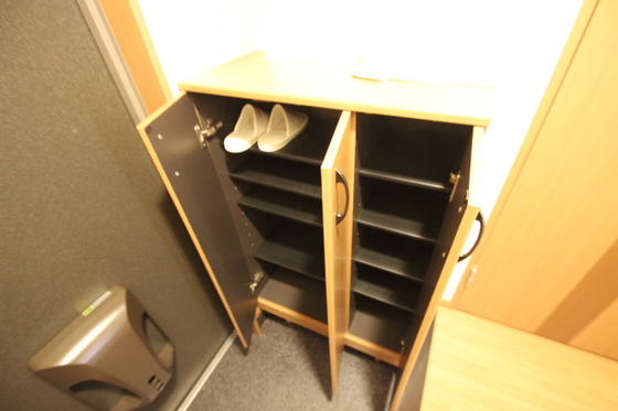 玄関　※他号室のお写真となります。