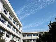 小学校　住吉小学校（小学校）まで391m