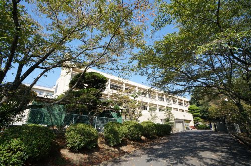 中学校　畝傍中学校（中学校）まで494m