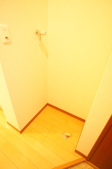 その他　室内洗濯機置場♪雨でも安心してお洗濯できます！