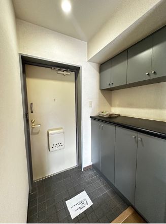 玄関　同タイプ参考写真