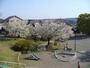 公園　鍛冶ヶ谷南公園（公園）まで700m