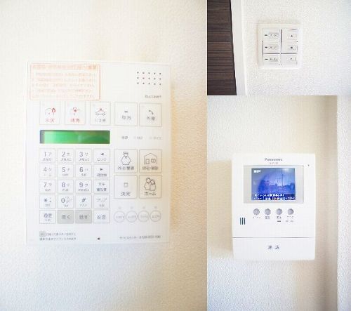 IRISのその他写真