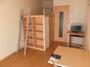 居室・リビング　1F　フローリング　2Ｆ以上はじゅうたんタイプのお部屋です！