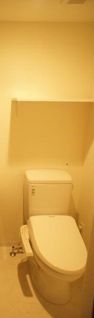 トイレ　※同仕様写真含む