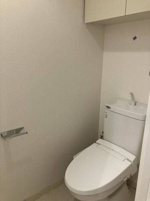 カスタリア伏見のトイレ写真