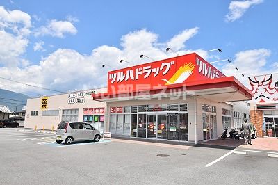 【西八代郡市川三郷町市川大門のアパートのドラックストア】