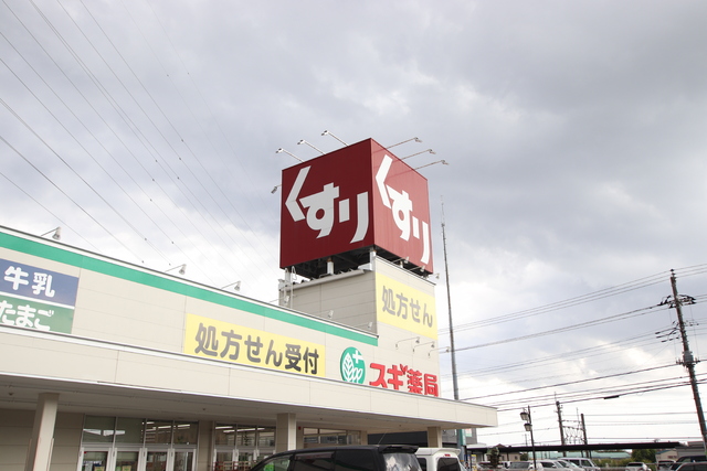 ドラックストア　スギ薬局　柏豊四季店（ドラッグストア）まで250m