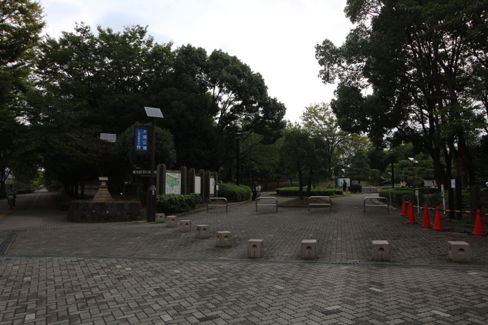 公園　木場公園（公園）まで520m