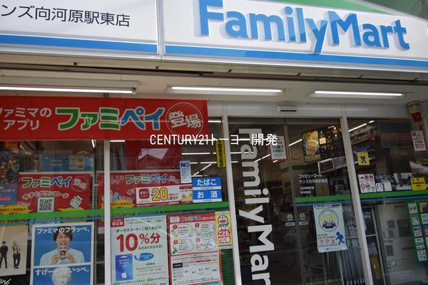 コンビニ　ファミリーマートサンズ向河原駅東店（コンビニ）まで288m