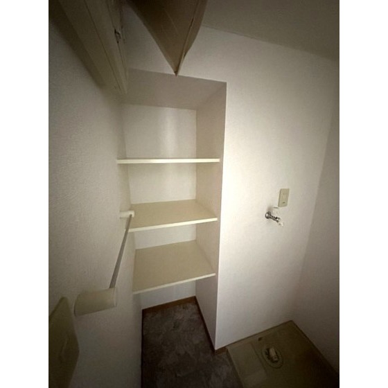その他部屋・スペース　洗面所の収納棚