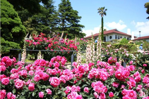 公園　港の見える丘公園（公園）まで2021m