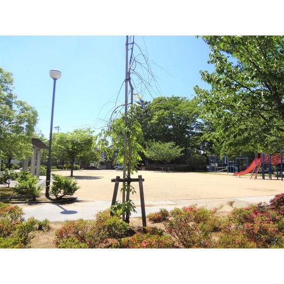 眺望　目の前公園♪