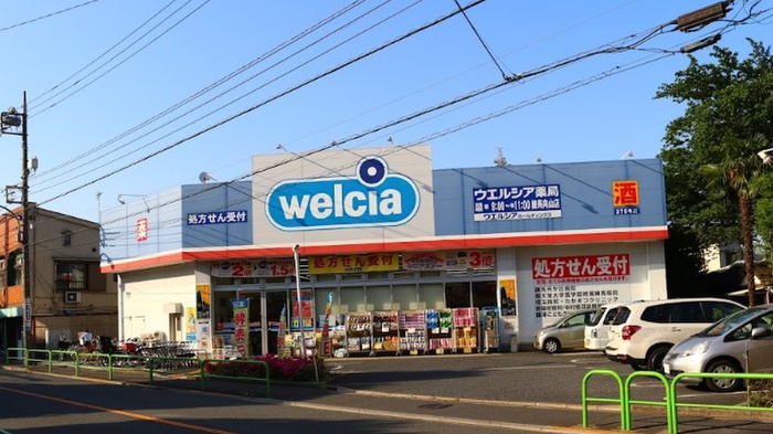 ドラックストア　ウエルシア練馬向山店（ドラッグストア）まで229m