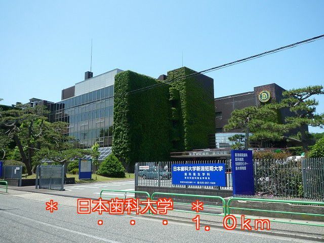 大学・短大　日本歯科大学（大学・短大）まで1000m