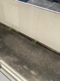 バルコニー　外からの目が気にならないバルコニーで洗濯物が干せます