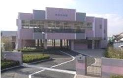 幼稚園・保育園　精華幼稚園（幼稚園・保育園）まで315m