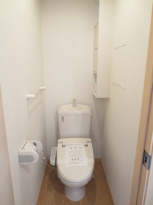 プラシ-ドカ-サのトイレ写真