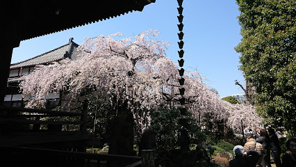 公園　浦和中央公園（公園）まで755m
