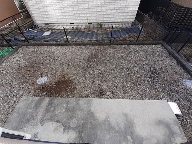 庭