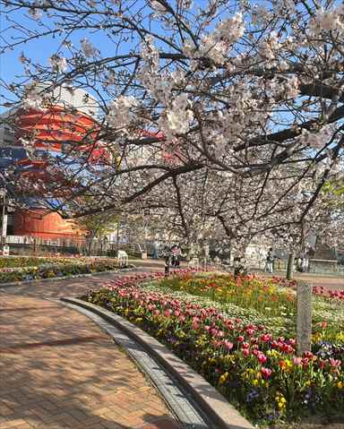 公園　清流公園（公園）まで531m