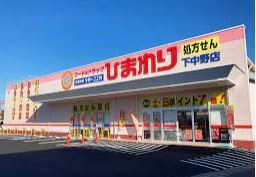 ドラックストア　フード＆ドラッグひまわり下中野店（ドラッグストア）まで737m