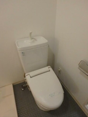 トイレ　※同仕様写真含む