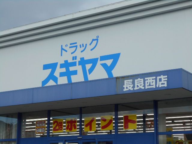 ドラックストア　ドラッグスギヤマ長良西店（ドラッグストア）まで1881m