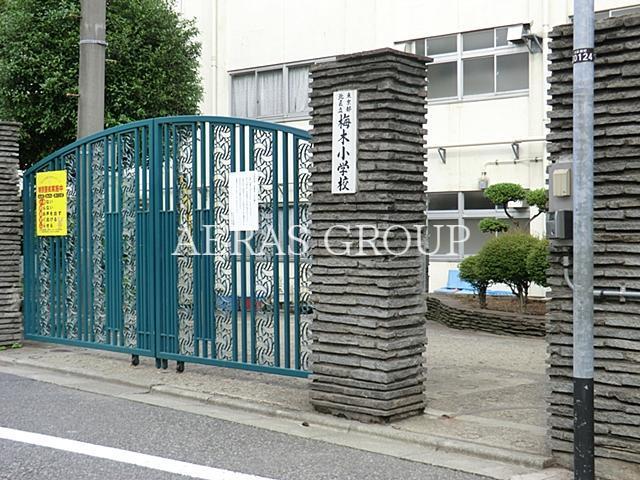小学校　北区立梅木小学校（小学校）まで576m