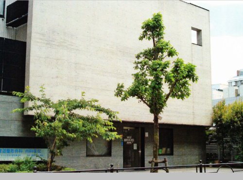 病院　医療法人渡辺整形外科内科医院（病院）まで456m