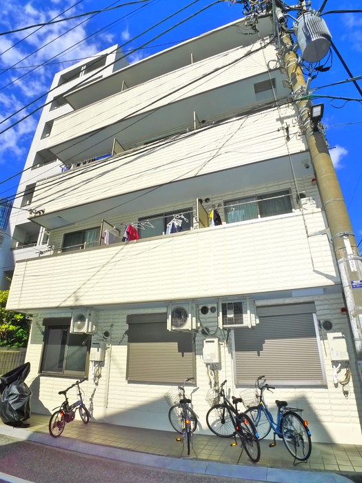 SELANのその他写真