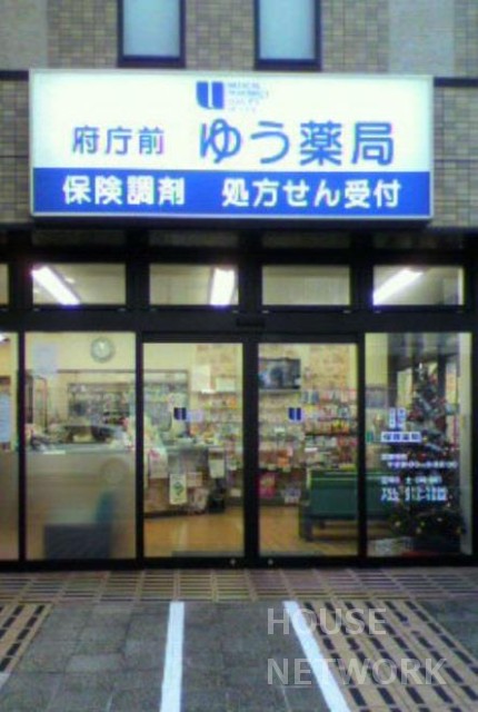 ドラックストア　日本調剤府庁前薬局（ドラッグストア）まで600m