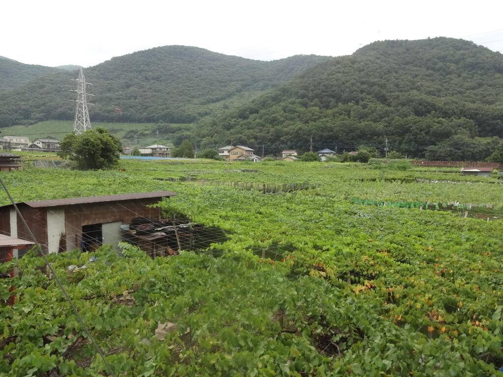 【東光寺ハイツヒロのその他】