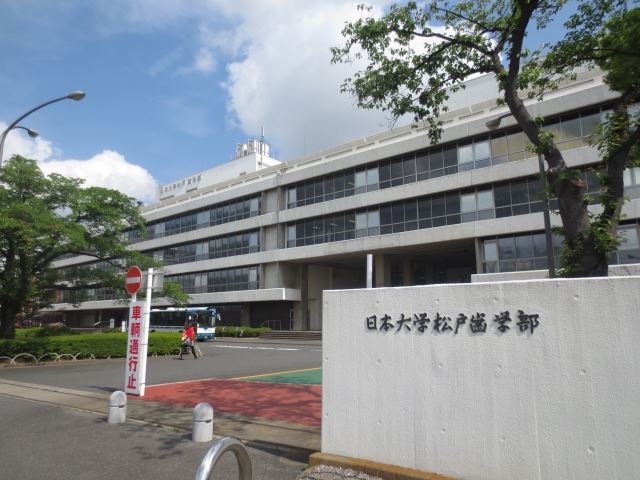 大学・短大　日本大学松戸歯学部（大学・短大）まで290m