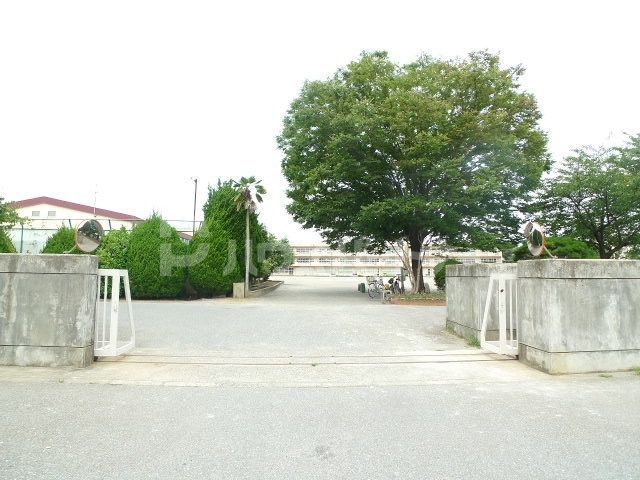 小学校　柏市立松葉第一小学校（小学校）まで340m