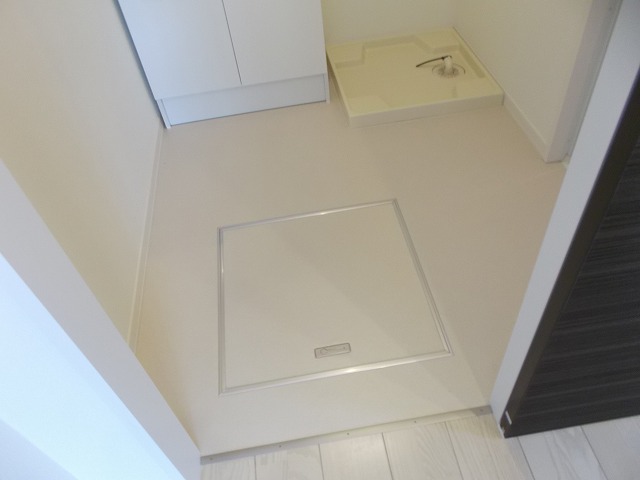 その他　2017年1月撮影