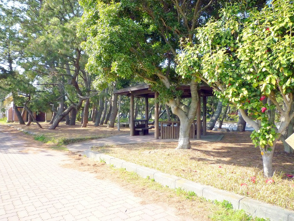 公園　自由広場乙女園公園（公園）まで306m