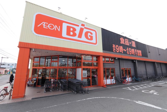 スーパー　ザ・ビッグ　桜木店（スーパー）まで1100m