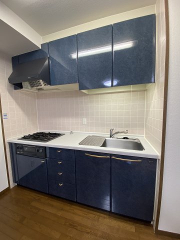 キッチン　リーガル南船場　ガスシステムキッチン