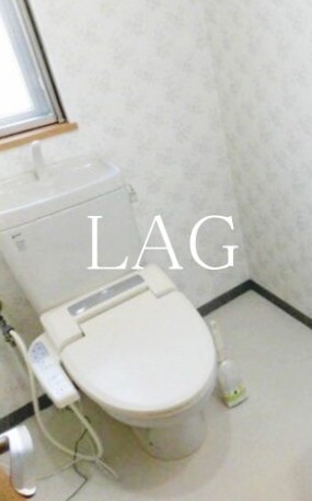 トイレ　トイレです。（同仕様です。）