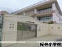 小学校　桜井小学校（小学校）まで429m